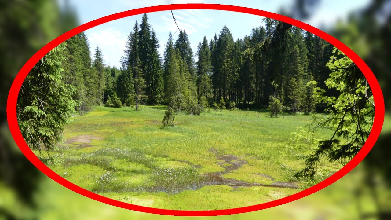 Auf Schmugglerwegen zur höchsten deutschen Talsperre - Carlsfeld