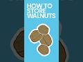 How to Store Walnuts #shorts
