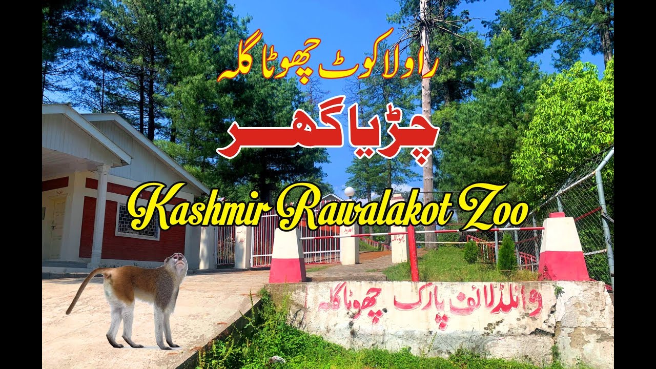 Rawalakot Azad Kashmir Chota Gala Zoo Point.