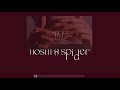 【日本語字幕 カナルビ ホシ】Spider -HOSHI Mix tape