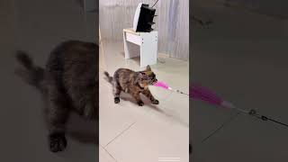Cat Teaser Toy - Interactive Bell &amp; Feather Wand - Long Suction Cup Pole for Exciting Playtime