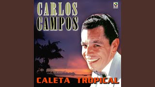 Si Te Tuviera - Carlos Campos