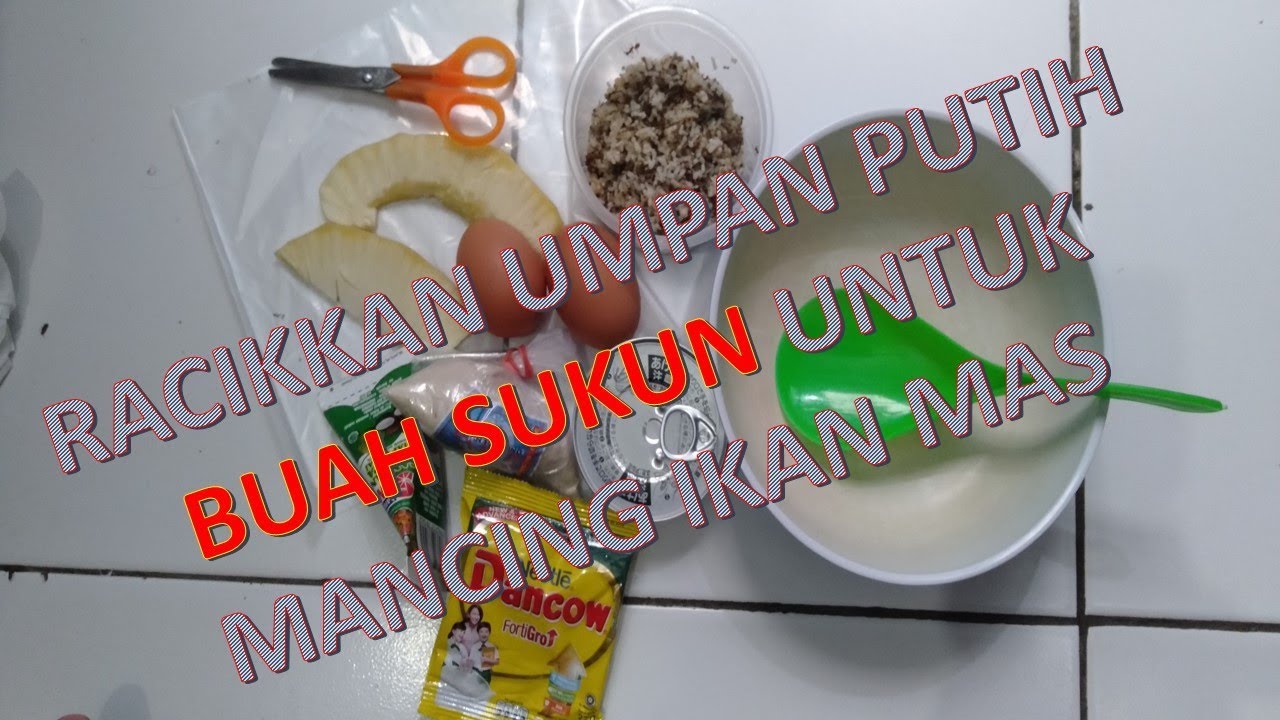 REKOMENDASI UMPAN PUTIH BUAH SUKUN UNTUK MANCING IKAN MAS