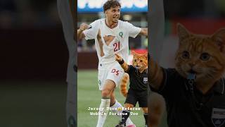 😱 El Aynaoui vs Wobble: Jersey TORN!#Aynaoui#achrafhakimi #dimamaghrib #shorts