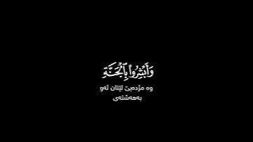 إن الذين قالوا ربنا الله ثم استقاموا شاشة سوداء | #سورة_فصلت حالات واتس بصوت #هشام_الهراز