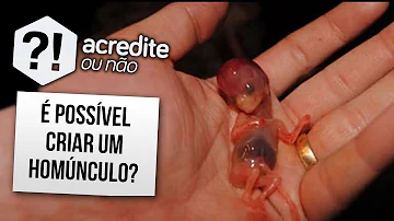 Como os onívoros se alimentam dentro do ovo?