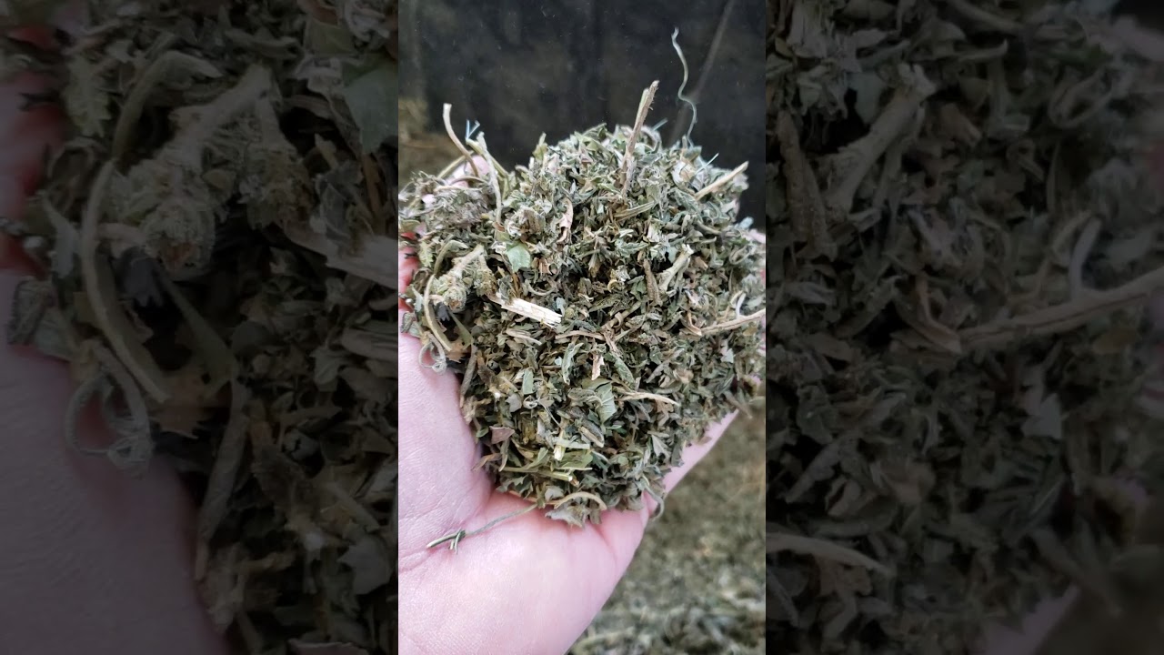 Hemp with CBD Oil - 6mm Pellets 01