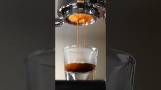 The Evolution of the Espresso Portafilter