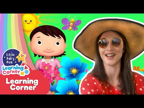 Weather Song Lesson