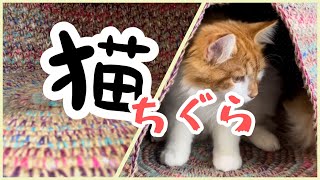 かぎ針『麻ひも猫ちぐら』