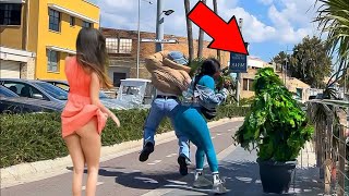 Random Funny Videos |Try Not To Laugh Compilation | Cute People And Animals Doing Funny Things P123