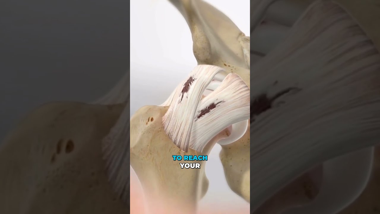 This Hidden Hip Problem Can Ruin Your Movement 3D Animation 