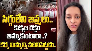 Renu Desai Reacts On Dog Blood Sale Controversy in Hyderabad | Latest Viral News ‪| Newswavetelugu