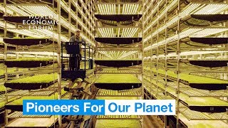 What is vertical farming? And what are the benefits? | Pioneers for Our Planet