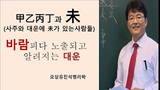 甲/乙/丙/丁이 원국과 대운에서 未를 만났을때 재물/남녀운/건강운.오상유진석명리학강의