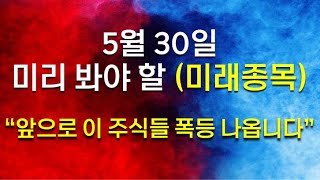 [구독자 8.7만명 달성 기념] 5월 30일 미리 봐야 할 (미래종목) 