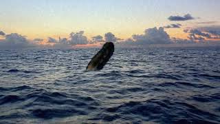 Giant Tentacle In Ocean