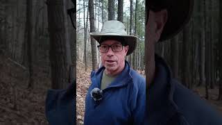 Video Reply To @forestwalker111