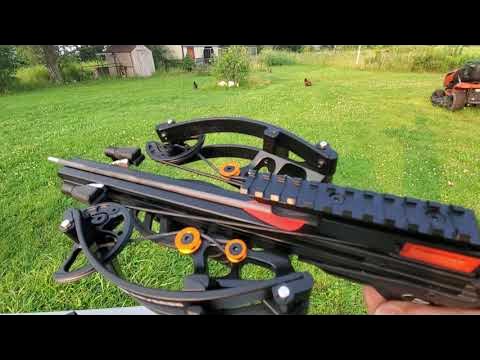 Bowfishing with the Ballista Bat Pistol Crossbow150lb limbs 