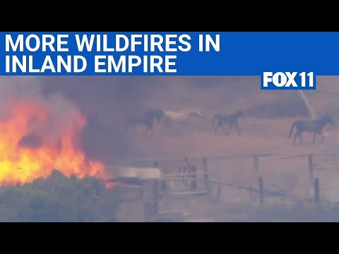 Major wildfires burning parts of Inland Empire | FOX 11 LA