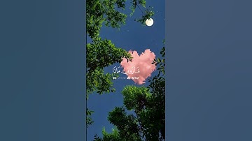 حالات واتس دينية 🙏🏻🤍| #القرآن_الكريم #تلاوة_خاشعة #تلاوة_هادئة