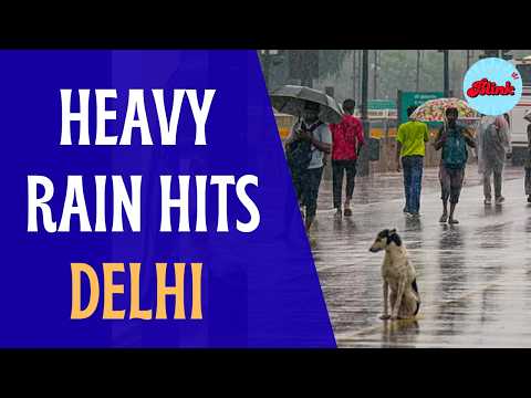 Delhi Weather: Rain Lashes Delhi, India Gate Drenched In Fresh Showers