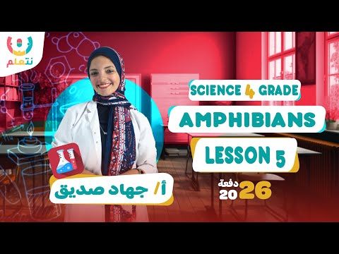 البرمائيات   4 شرح درس  كامل ساينس رابعة ابتدائي الترم الأول 2026
