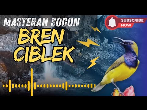 MASTERAN SOGON BEEN CIBLEK PANJANG RAPET AUDIO JERNIH