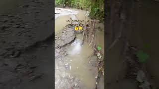 Ikan kampret. Mak Lampir #shorts