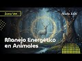 Manejo Energético en Animales-Zona Vet