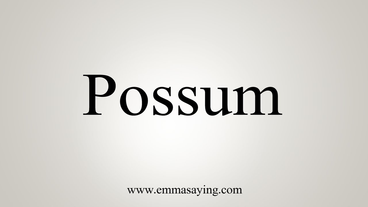 How To Say Possum YouTube