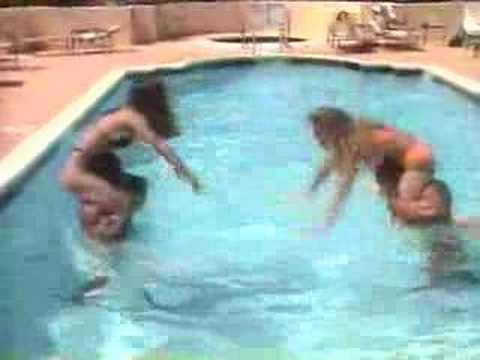 Image Result For Chicken Fight Pool Image Result For Chicken Fight Pool