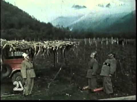 სიყვარული ხანძარი და პოპმიერო