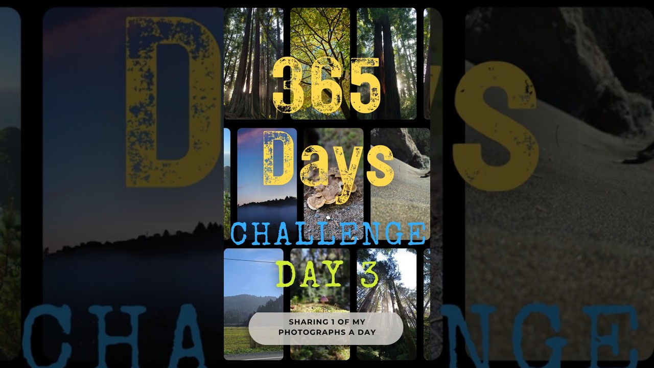 365 Photo Challenge Day 3 