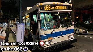 MTA Bus || Orion VII OG #3594 on the Q66 (8/24/23)