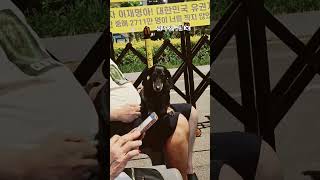 #상진아재 시어머님과 !! 응원하러 #치조직 #멸공! #브이로그 #40대후반