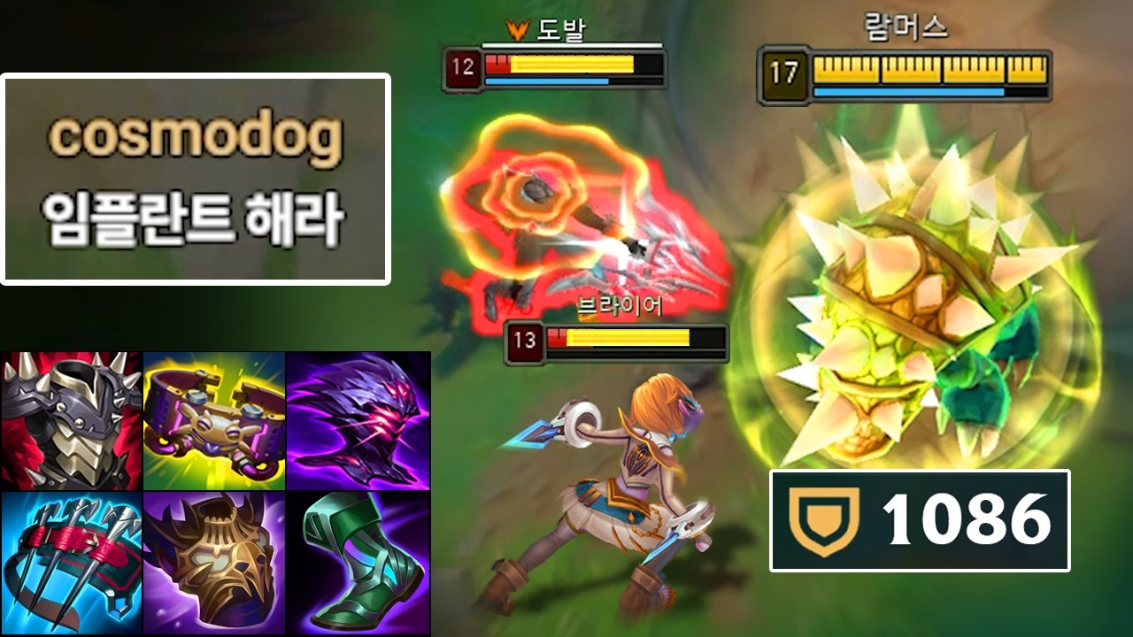 방어력 1000 람머스를 깨물면 생기는 일 🦷😱