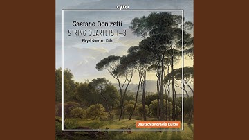 String Quartet No. 3 in C Minor: III. Minuetto. Presto