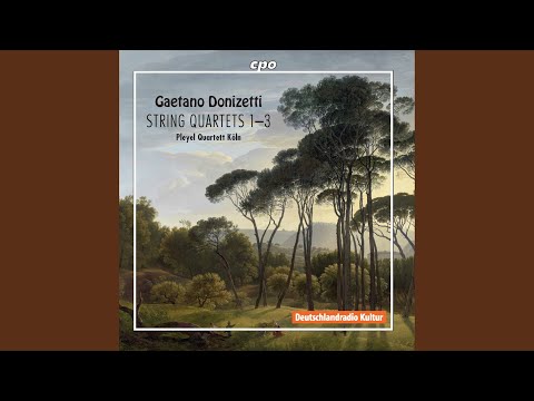 String Quartet No. 3 in C Minor: III. Minuetto. Presto