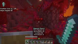 Minecraft Survival Solo!