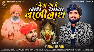 જોયા અમે નાથ આયા વાળીનાથ​ - Vishal Hapor | New Gujarati Song | Joya Ame Nath Aaya Vadinath | 2024