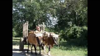 Video voorbeeld van "Cuba - Lamento Guajiro"