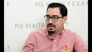Comprehensive, data-driven approach to lower wean-finish mortality