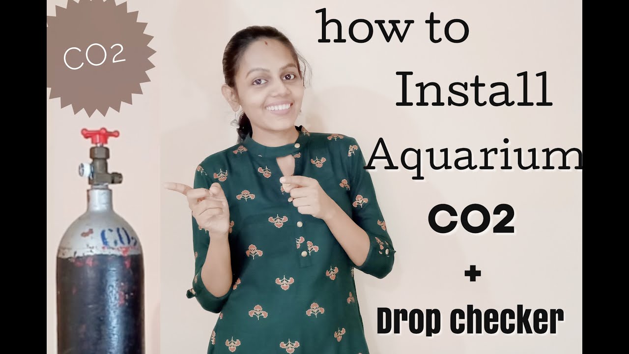 How to Install Co2 system in aquarium Co2 dropchecker installation Planted aquarium Co2