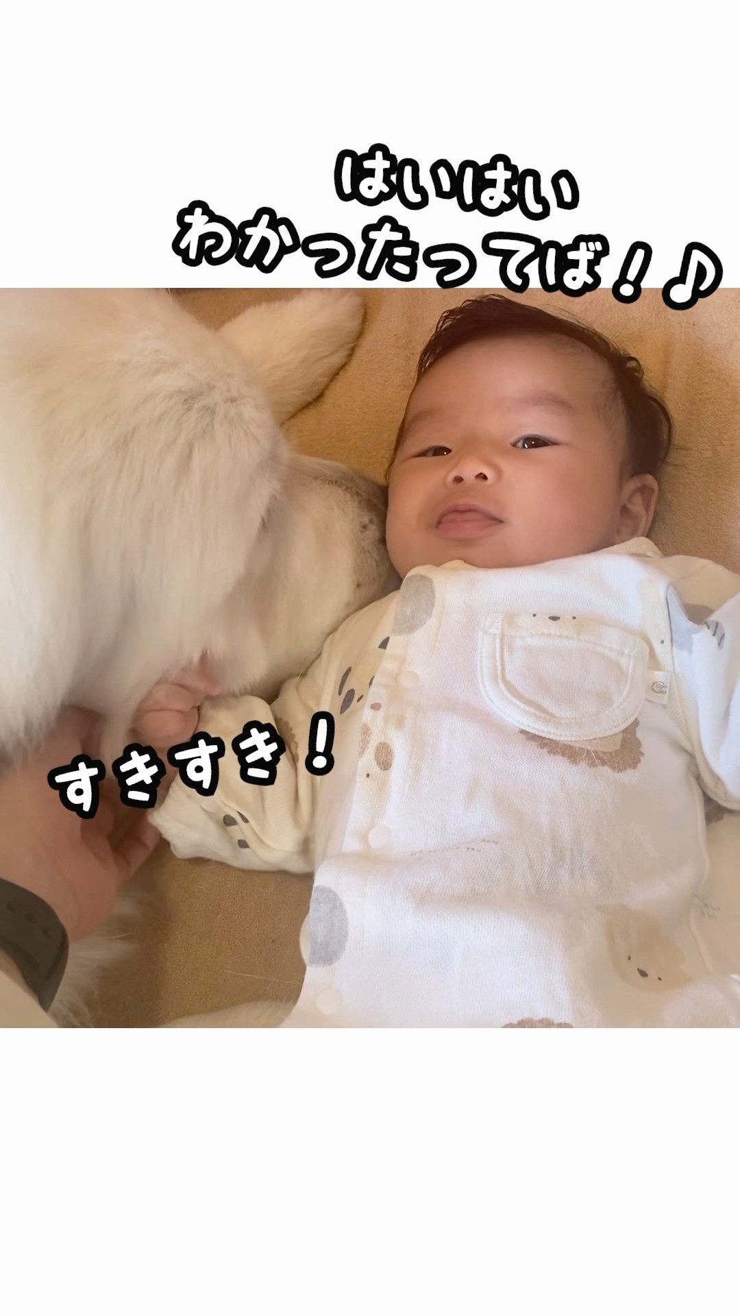 生後2ヶ月の人間の赤ちゃんに母性が爆発してしまった超大型犬がこちら