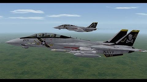 FS2004 - F-14 Tomcat Music Video