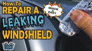 How To Repair A Leaking Windshield (Andy’s Garage: Episode  84)