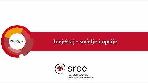 PlagScan: Izvještaj – sučelje i opcije