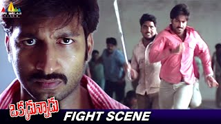 Gopichand Best Fight Scene | Okkadunnadu | Telugu Movie Action Scenes @SriBalajiAction