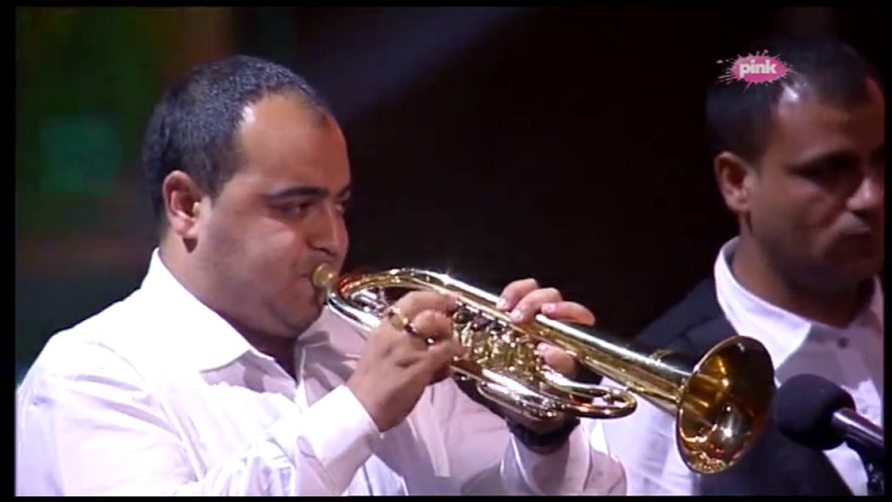 Orkestar Sase Krstica Guca 2016